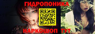 прущие грибы Обь
