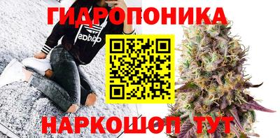 прущие грибы Обь