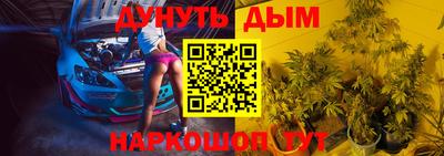 прущие грибы Обь