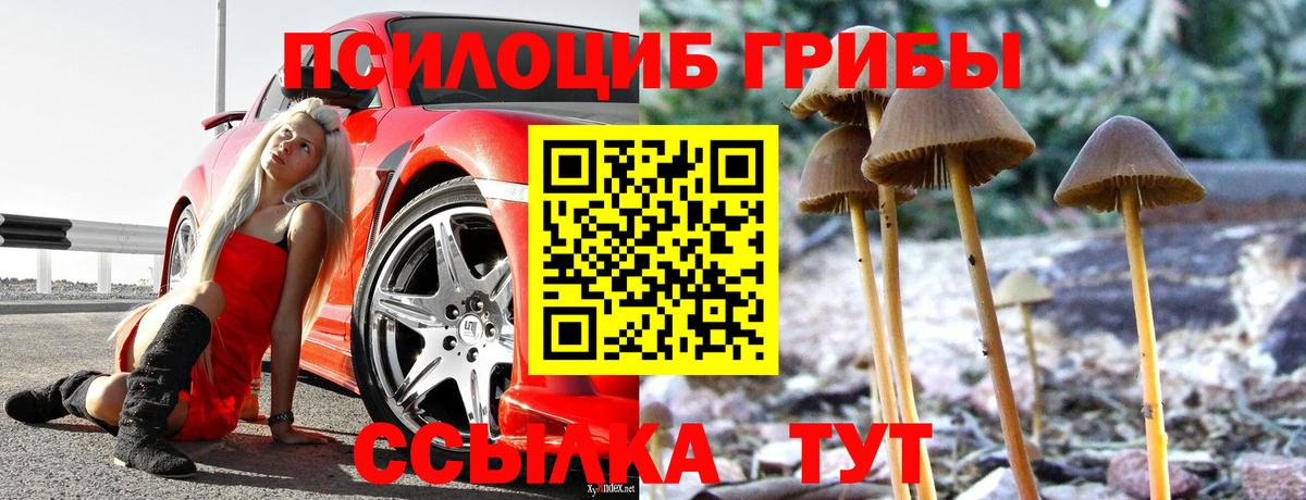 Пенза  Галлюциногенные грибы Psilocybine cubensis  Галлюциногенные грибы Psilocybine cubensis  Вход с VPN 